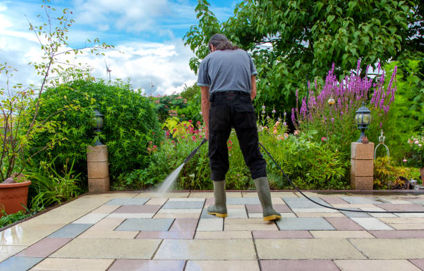 Best Sidewalk and Walkway Cleaning  in La Riviera, CA